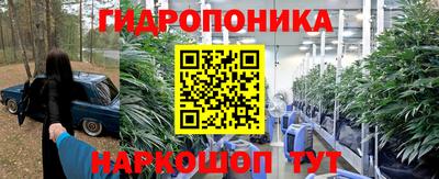 круглые Кингисепп