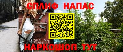 стаф Кимры