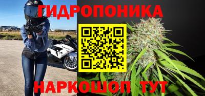 круглые Кингисепп
