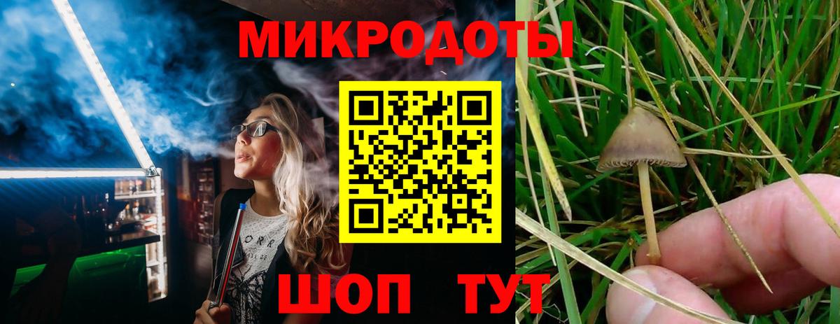 цены наркотик  Псилоцибиновые грибы Psilocybe  Галлюциногенные грибы ЛСД  Вход с VPN  Трёхгорный 